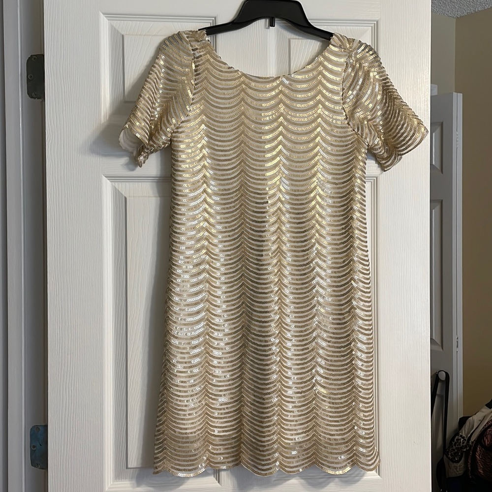 🚨HOT BUY ALERT! Sequined flapper-style dress